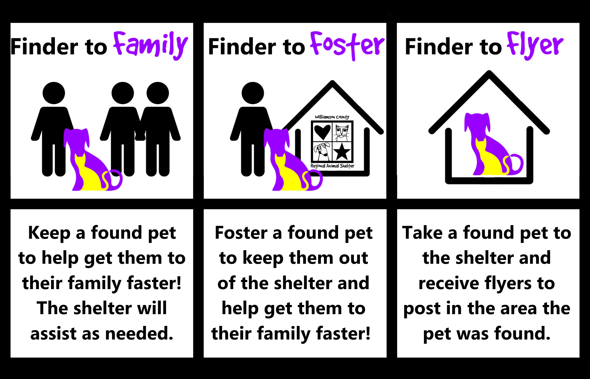 Graphic of three options for found pets